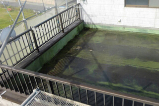 防水工事ビフォア画像